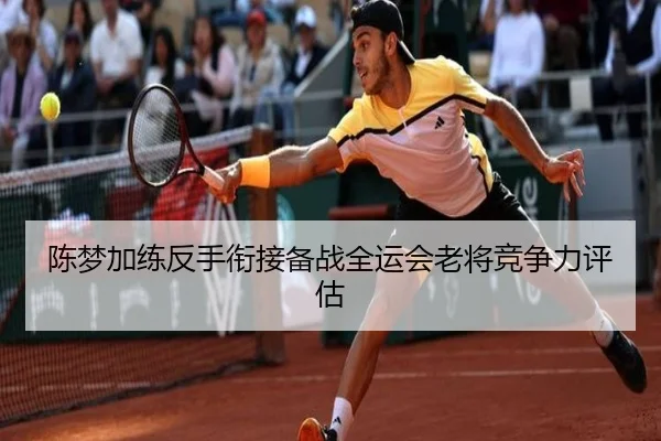 陈梦加练反手衔接备战全运会老将竞争力评估